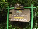 Bosque Guajataca  - ISABELA